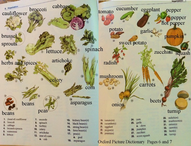 English vocabulary vegetable pictures and words