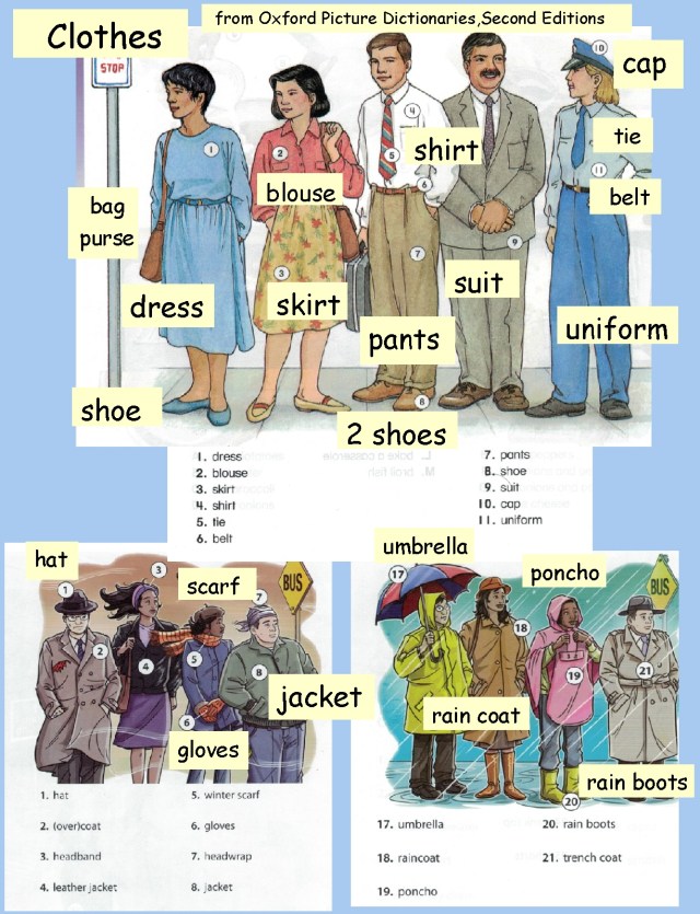 English clothing vocab photos and labels